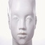 Michael Tolloy | Tete Blanche 2