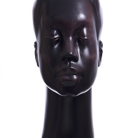 Michael Tolloy | Tête Noir