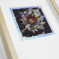 Mio Zajac | Carpet Diem Series | Clark Sickle-Leaf Carpet