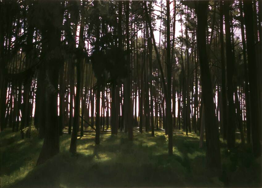 Frank Bauer | Kiefernwald
