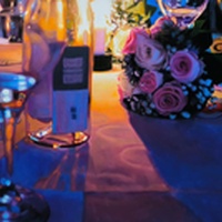 Frank Bauer | Ball der Deb�tanten
