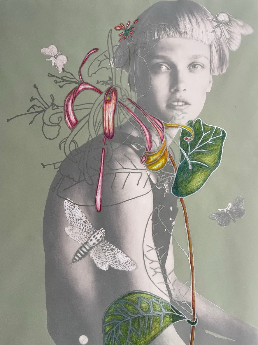 Sandra Ackermann | Anthropozoic Wonderland 1