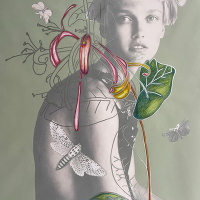 Sandra Ackermann | Anthropozoic Wonderland 1