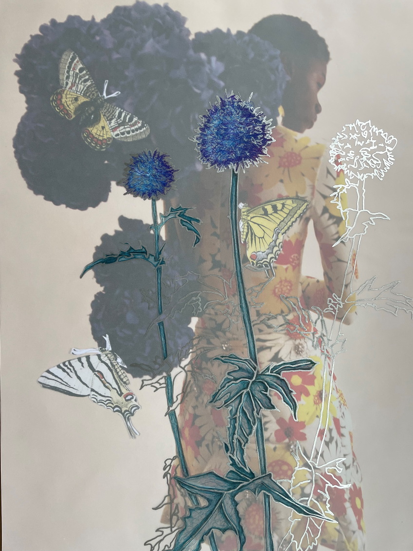 Sandra Ackermann | Anthropozoic Wonderland 5