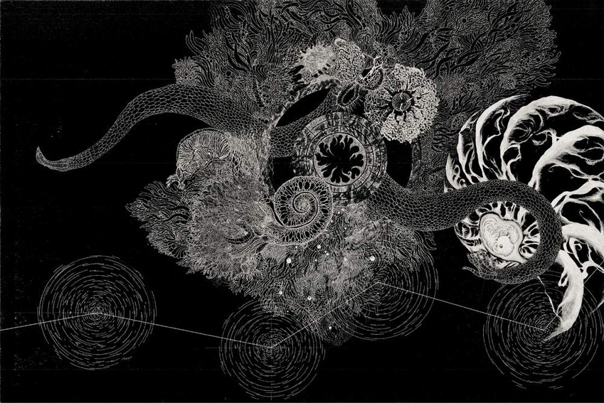 Mihoko Ogaki | o.T. (01) Mihoko Ogaki | o.T. (01)