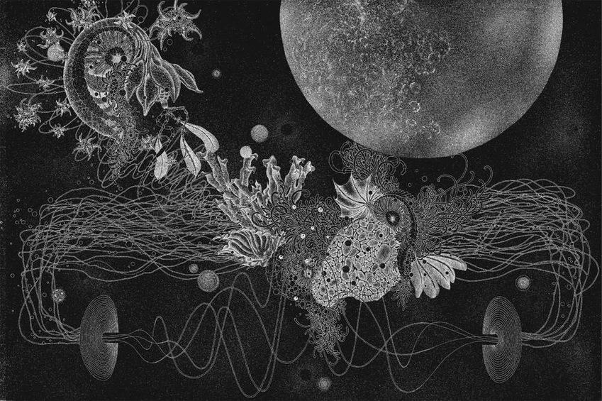 Mihoko Ogaki | o.T. (03) Mihoko Ogaki | o.T. (03)