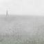 Maria Friberg | way ahead 2
