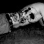 Michael Koch | Skulls (Serie: Post Mortem)