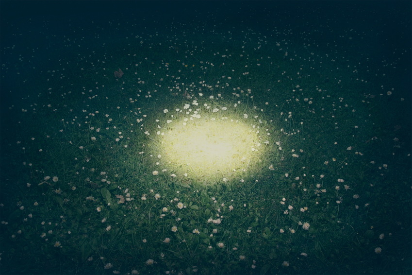 Masaharu Sato | Daylight Masaharu Sato | Daylight