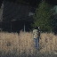 Masaharu Sato | Walk